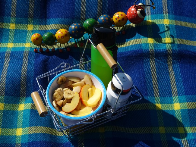 Picknick im Grünen