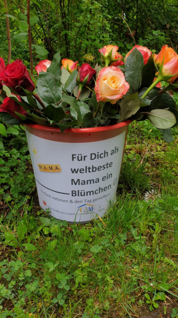 Ein Blümchen für Dich