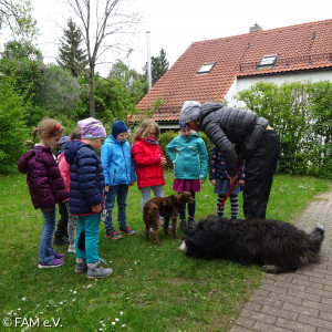 Erste Instruktionen - wie begrüßt man einen Hund?