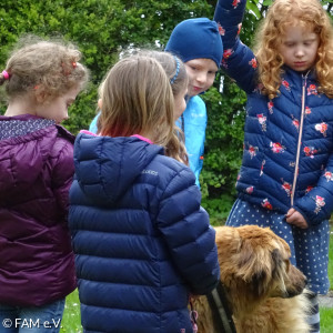 Manche wussten schon was über Hunde