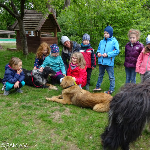 Die stolzen Protagonisten der Hundeschule :-)